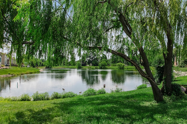 934 Carron Ct, Pickerington, OH 43147 - water view