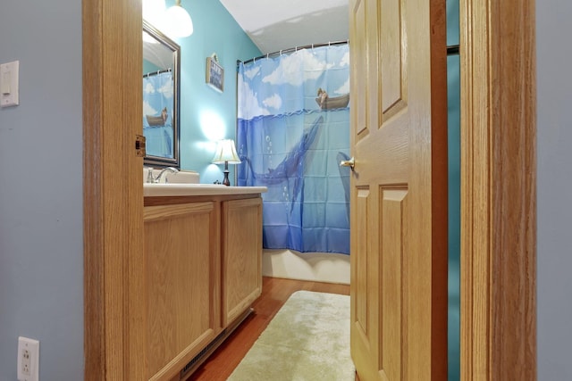 bathroom with vanity and wood finished floors