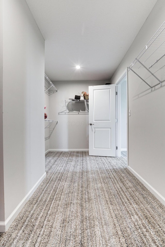 walk in closet with carpet flooring
