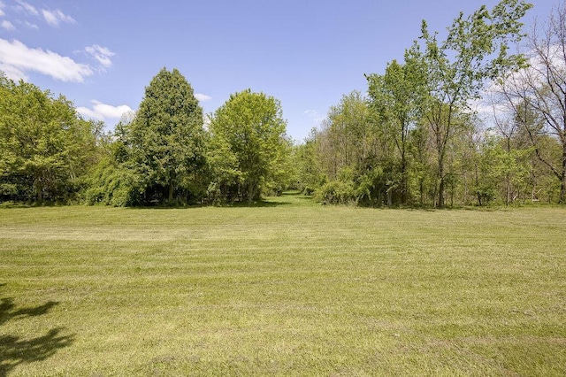 8028 Concord Rd, Johnstown, OH 43031 - view of wooded area