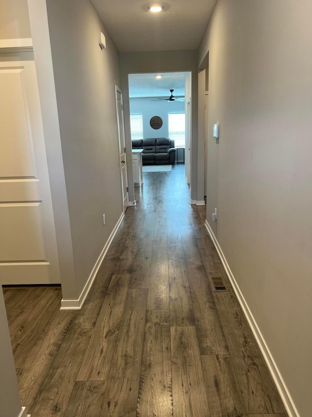 307 Shady Hollow Dr, Commercial Point, OH 43116 - hallway featuring visible vents, baseboards, and dark wood-style flooring