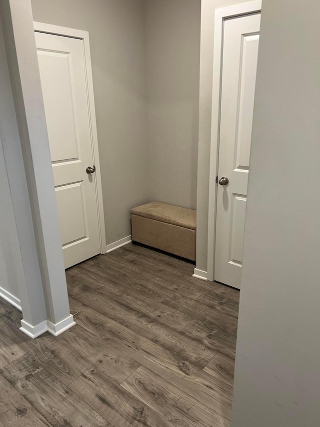 307 Shady Hollow Dr, Commercial Point, OH 43116 - interior space with baseboards and dark wood finished floors