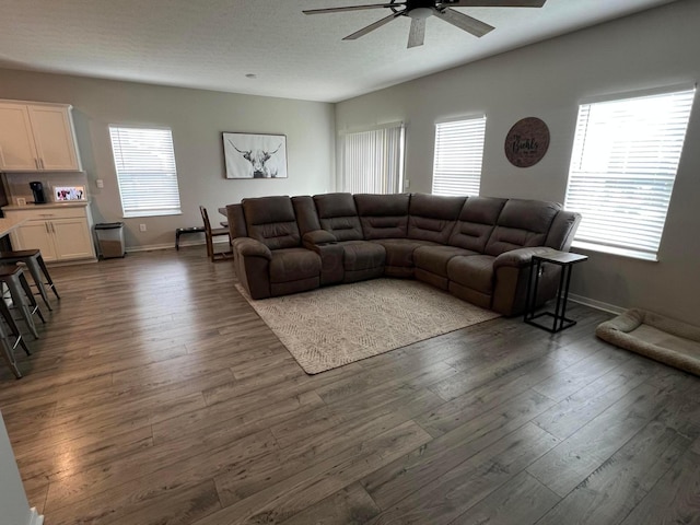 307 Shady Hollow Dr, Commercial Point, OH 43116 - living room featuring baseboards, dark wood finished floors, ceiling fan, and a healthy amount of sunlight