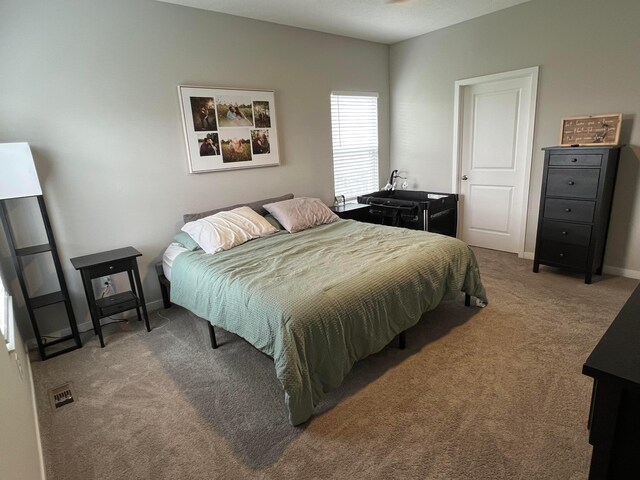307 Shady Hollow Dr, Commercial Point, OH 43116 - bedroom featuring baseboards, carpet flooring, and visible vents