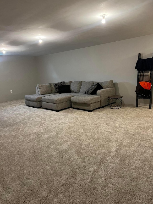 307 Shady Hollow Dr, Commercial Point, OH 43116 - living area featuring carpet flooring