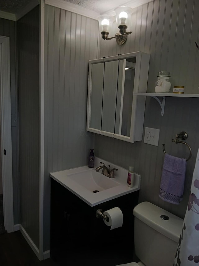 bathroom with toilet and vanity
