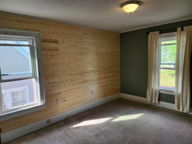 317 N High St, New Lexington, OH 43764 - carpeted spare room with baseboards, wood walls, and ornamental molding