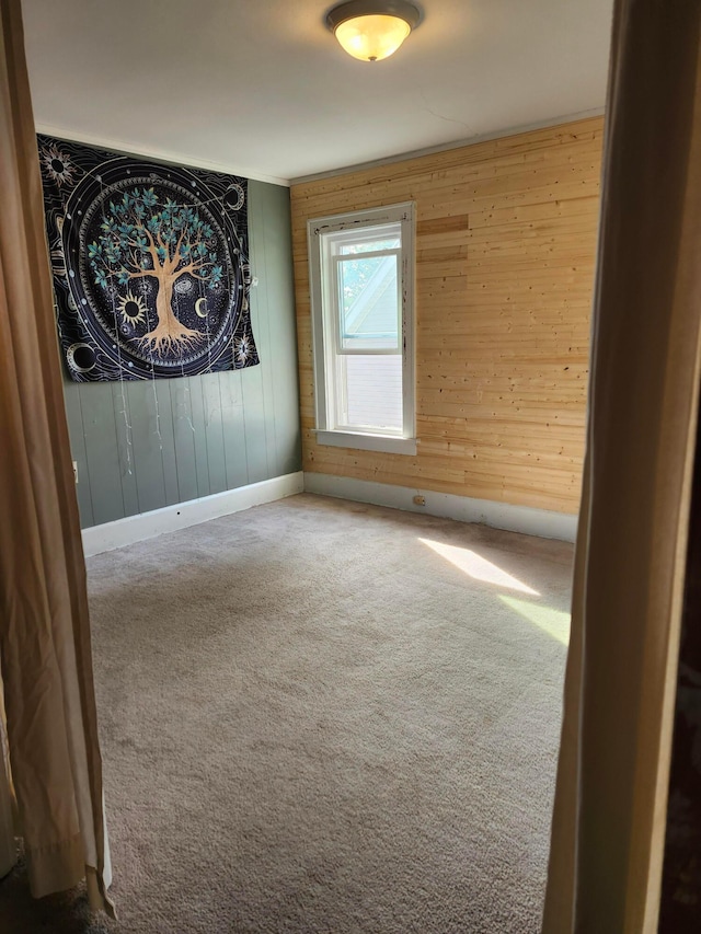 317 N High St, New Lexington, OH 43764 - empty room with baseboards, wood walls, and carpet