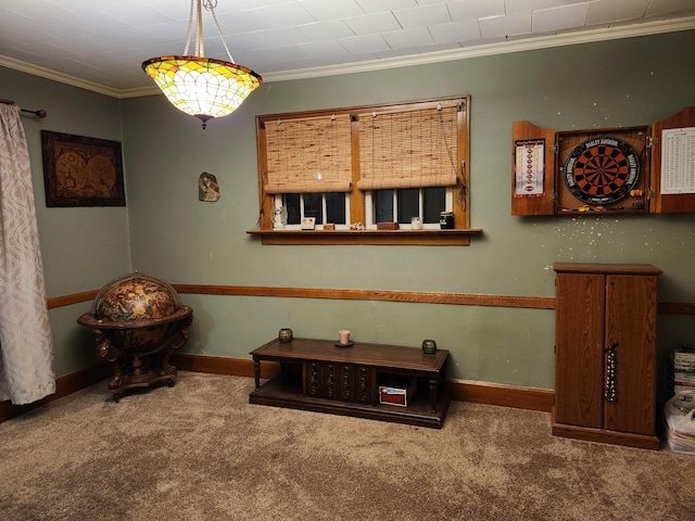 317 N High St, New Lexington, OH 43764 - misc room featuring crown molding, carpet floors, and baseboards