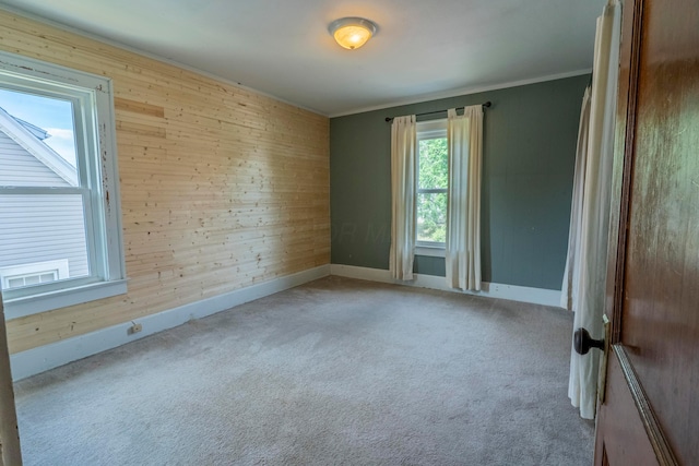 317 N High St, New Lexington, OH 43764 - carpeted spare room featuring wooden walls, ornamental molding, and baseboards