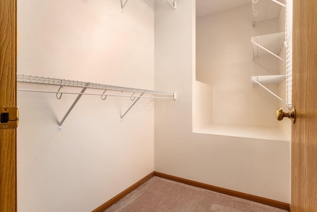 walk in closet with carpet flooring