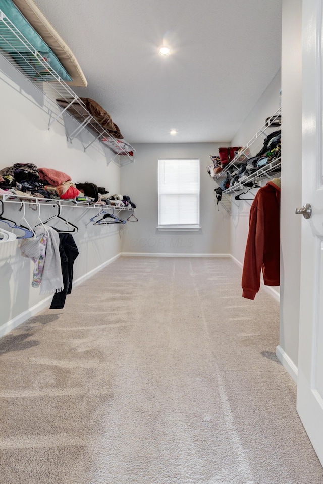 walk in closet with carpet