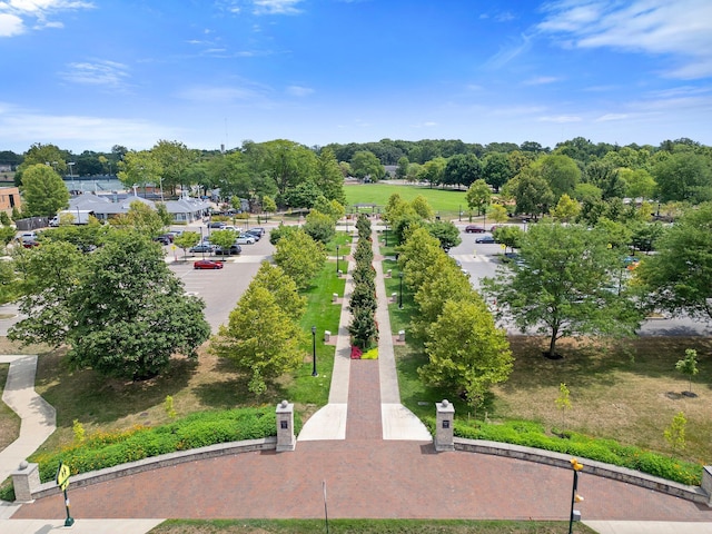 drone / aerial view of a tree filled landscape