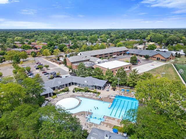 bird's eye view of a pool