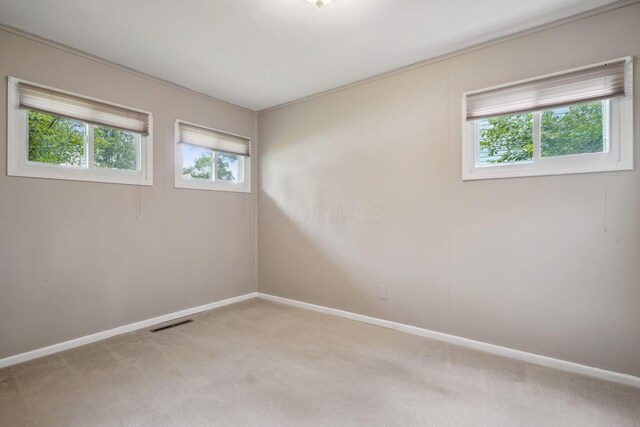 4359 Packard Dr, Hilliard, OH 43026 - photo 23