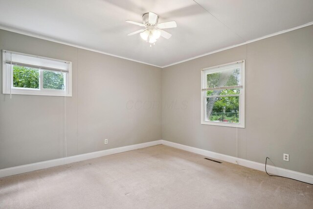 4359 Packard Dr, Hilliard, OH 43026 - photo 21