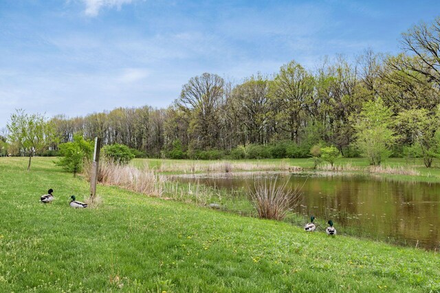 view of yard with a water view and a wooded view