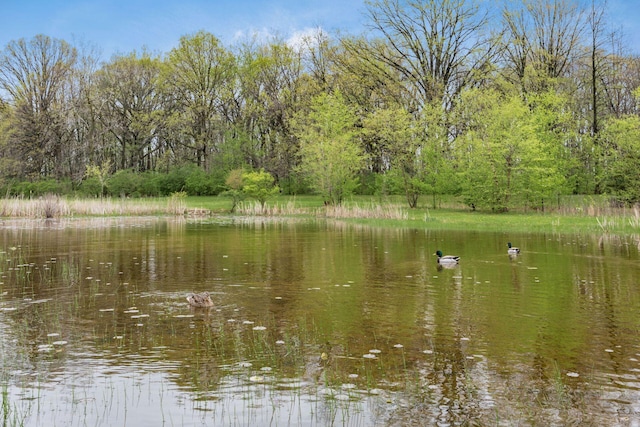 property view of water featuring a view of trees