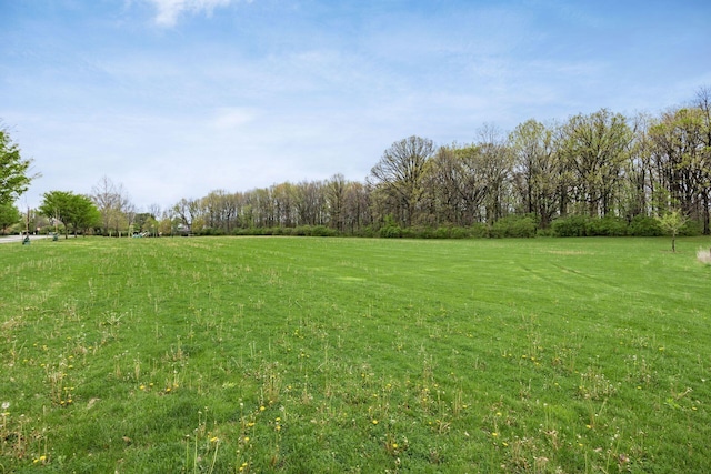 view of yard with a rural view