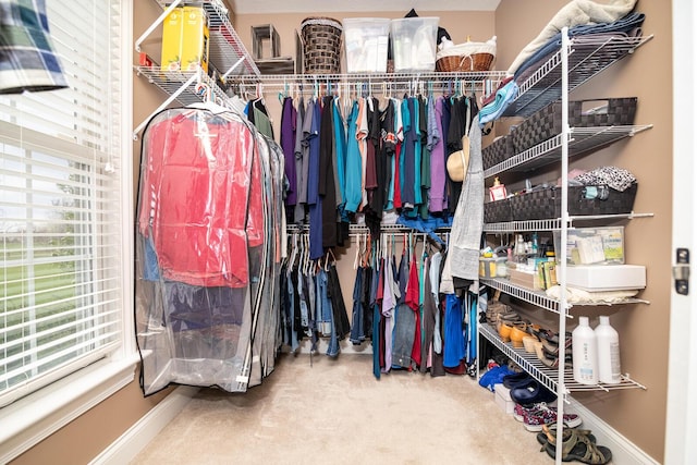 walk in closet featuring carpet