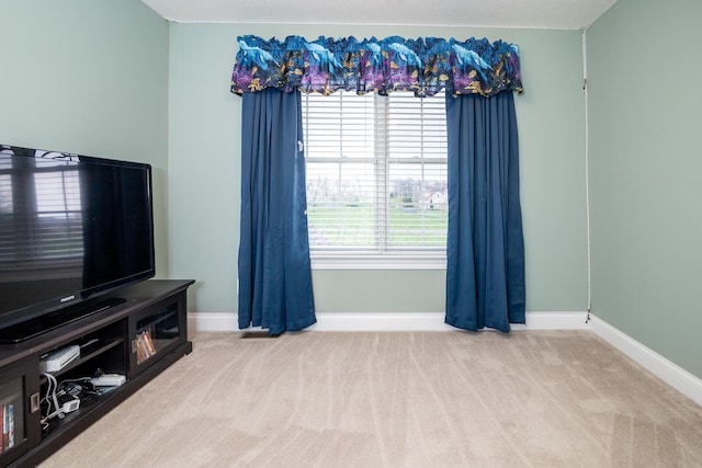 interior space featuring baseboards and carpet flooring