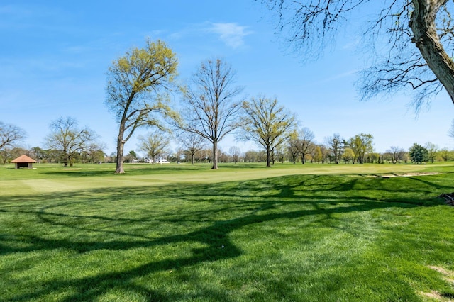 view of property's community featuring a yard