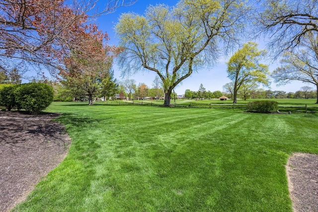 view of yard