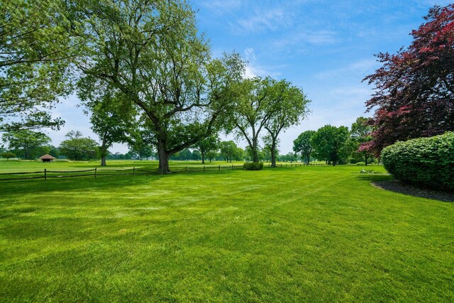 4070 Lyon Dr, Upper Arlington, OH 43220 - view of yard