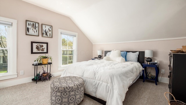 231 N Granger St, Granville, OH 43023 - carpeted bedroom featuring lofted ceiling and baseboards
