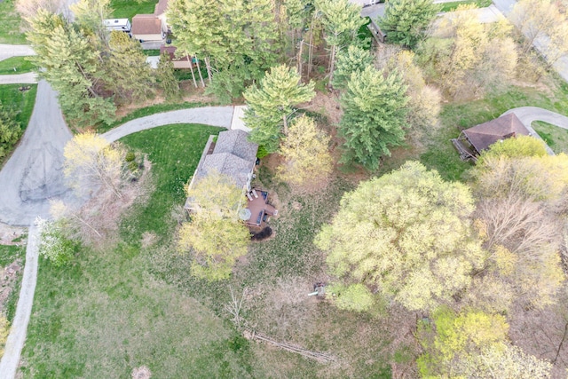 41 Green Valley Ct, Howard, OH 43028 - photo 52