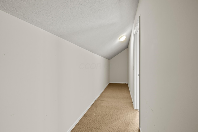 additional living space with light carpet, lofted ceiling, baseboards, and a textured ceiling