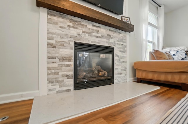 details featuring a stone fireplace and wood finished floors