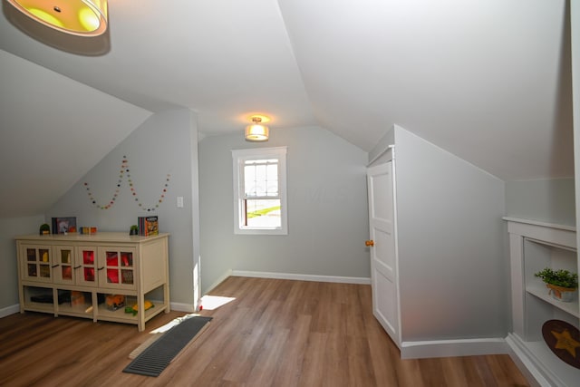 additional living space featuring baseboards, wood finished floors, and lofted ceiling