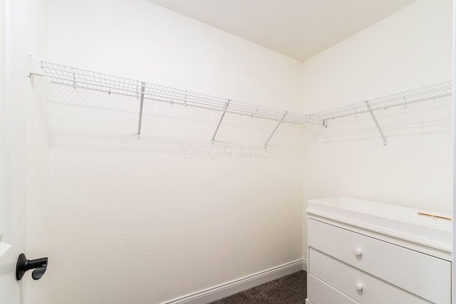 view of walk in closet
