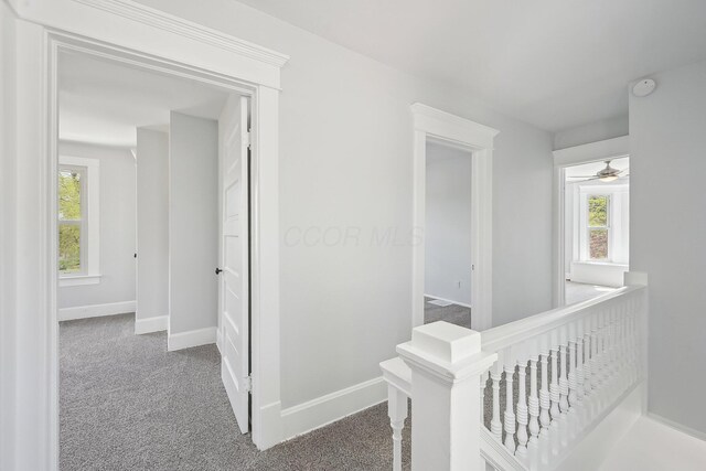 hallway featuring an upstairs landing, a healthy amount of sunlight, baseboards, and carpet floors