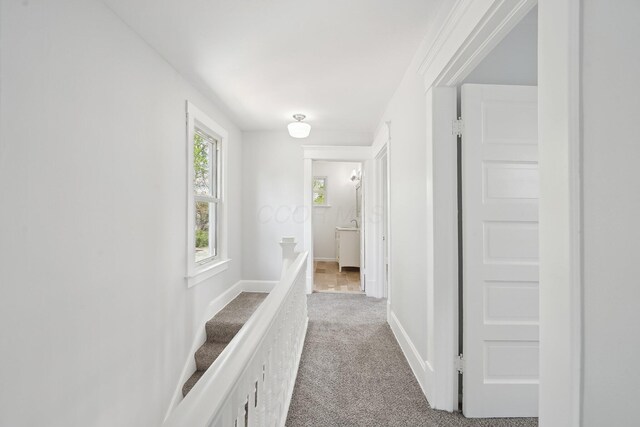 corridor with baseboards and carpet