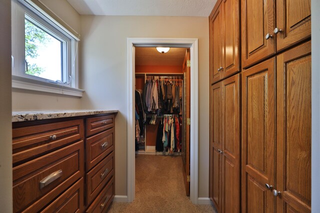 spacious closet featuring carpet flooring