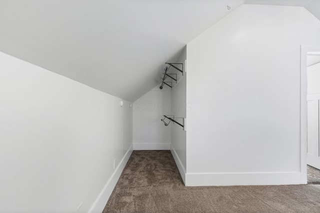 250 E Park St, Westerville, OH 43081 - spacious closet featuring carpet and vaulted ceiling