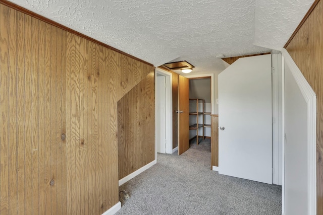 3907 Condit Rd, Sunbury, OH 43074 - hallway with carpet and a textured ceiling