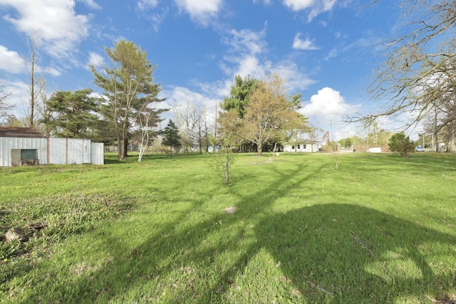 3907 Condit Rd, Sunbury, OH 43074 - view of yard