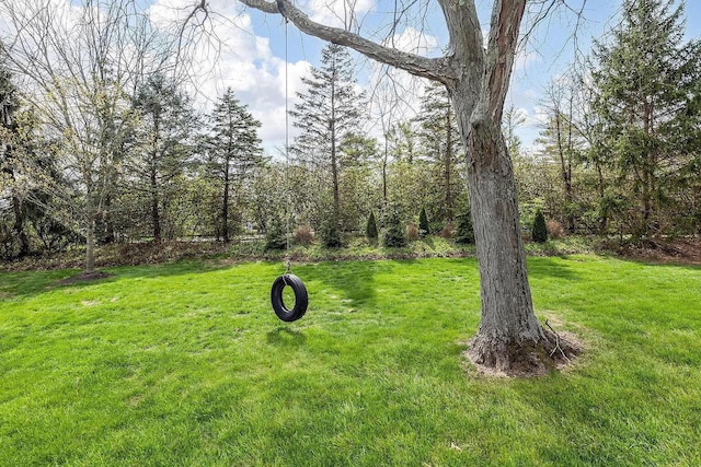 view of green lawn