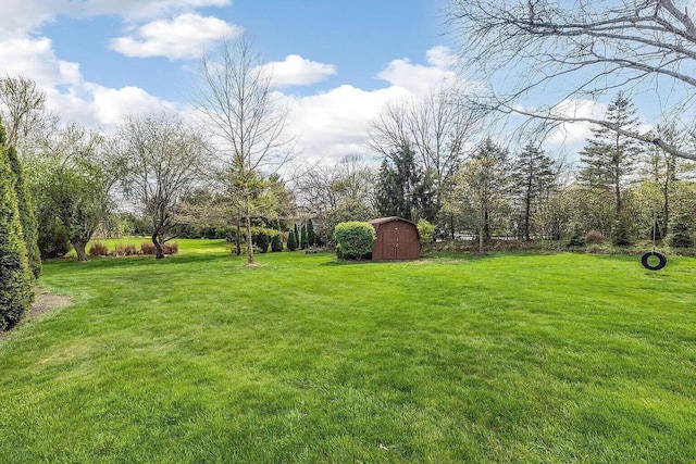 view of grassy yard with a storage shed and an outdoor structure