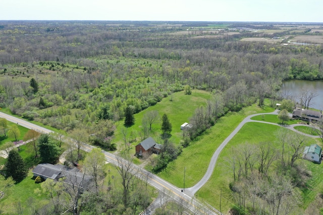 2263 Amity Rd, Hilliard, OH 43026 - drone / aerial view featuring a view of trees and a water view