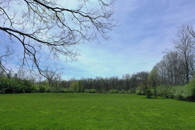 2263 Amity Rd, Hilliard, OH 43026 - view of yard featuring a view of trees