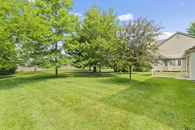 5227 Brynwood Dr, Upper Arlington, OH 43220 - photo 43