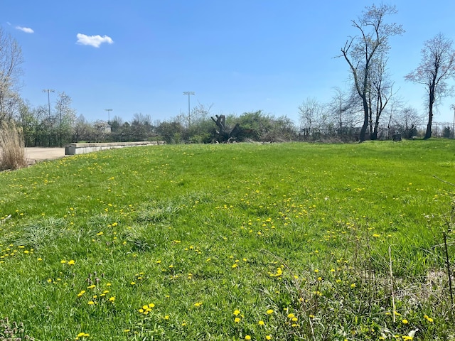 view of yard featuring a rural view