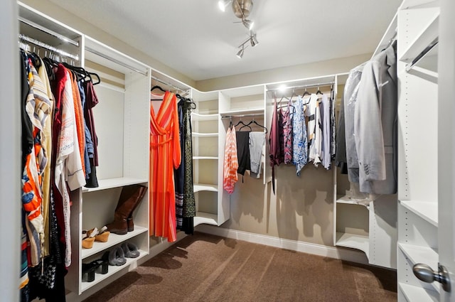 walk in closet with carpet flooring