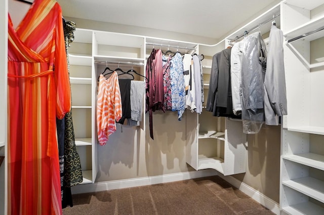 walk in closet with carpet flooring