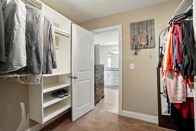 spacious closet featuring light colored carpet