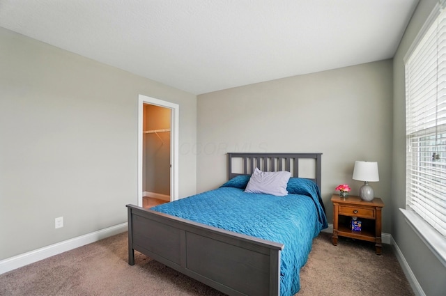 carpeted bedroom with a spacious closet and baseboards